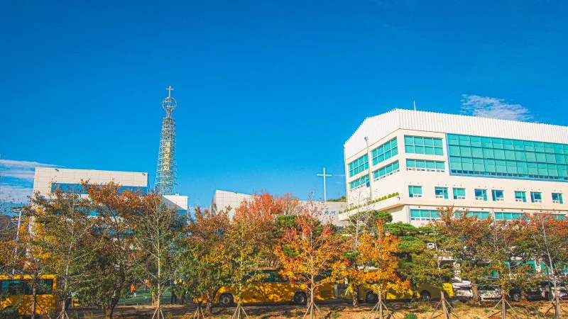 세계로교회 11월16일 주일풍경