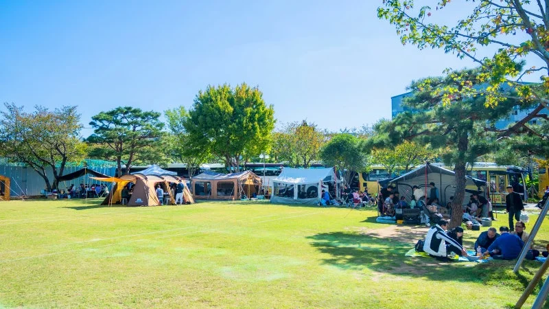 세계로교회 11월3일 주일풍경(총력전도주일)