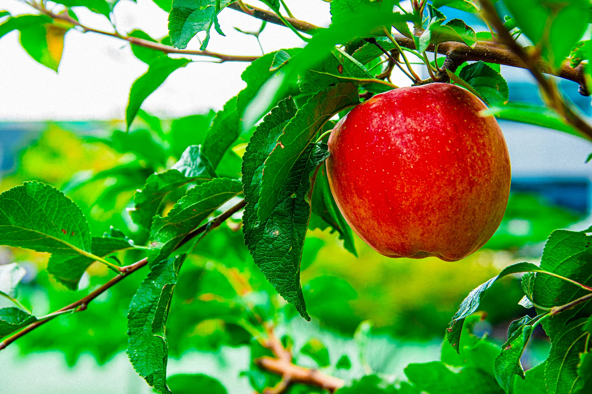 2026.10.04 주일풍경